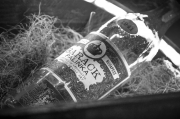 _mg_6100.jpg