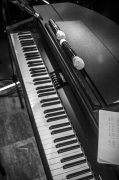 _mg_4618.jpg